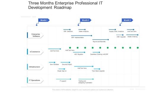 Three Months Enterprise Professional IT Development Roadmap Formats Three Months Enterprise Professional IT Development Roadmap Formats