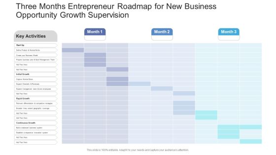 Three Months Entrepreneur Roadmap For New Business Opportunity Growth Supervision Brochure PDF Three Months Entrepreneur Roadmap For New Business Opportunity Growth Supervision Brochure PDF