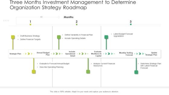 Three Months Investment Management To Determine Organization Strategy Roadmap Introduction Three Months Investment Management To Determine Organization Strategy Roadmap Introduction