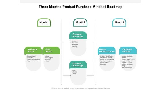 Three Months Product Purchase Mindset Roadmap Slides Three Months Product Purchase Mindset Roadmap Slides
