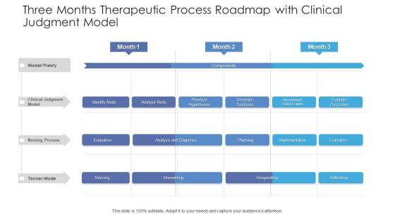 Three Months Therapeutic Process Roadmap With Clinical Judgment Model Mockup Three Months Therapeutic Process Roadmap With Clinical Judgment Model Mockup