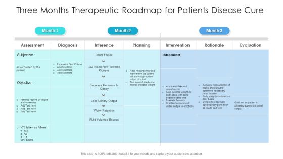 Three Months Therapeutic Roadmap For Patients Disease Cure Brochure Three Months Therapeutic Roadmap For Patients Disease Cure Brochure