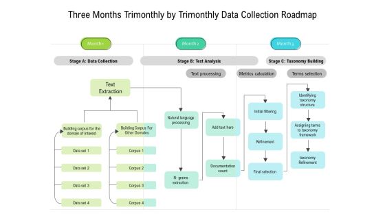Three Months Trimonthly By Trimonthly Data Collection Roadmap Graphics Three Months Trimonthly By Trimonthly Data Collection Roadmap Graphics