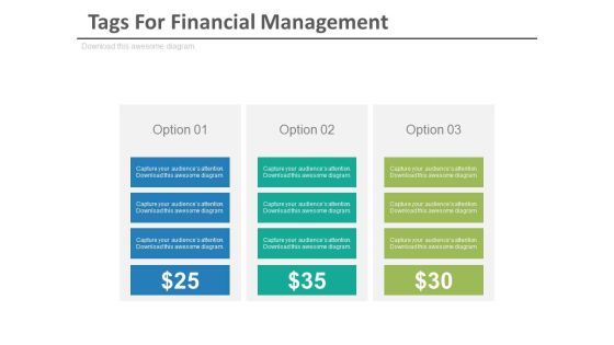 Three Options Tags For Financial Management Powerpoint Slides