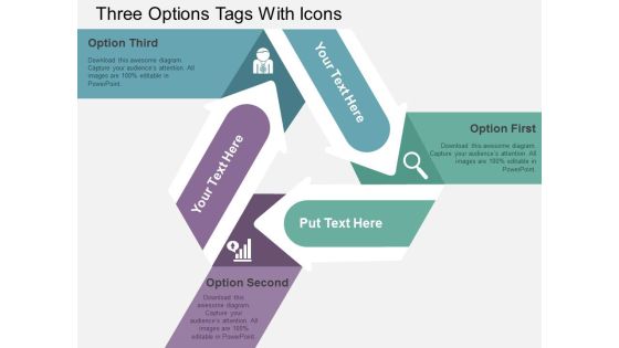 Three Options Tags With Icons Powerpoint Templates
