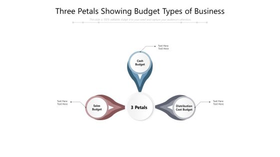 Three Petals Showing Budget Types Of Business Ppt PowerPoint Presentation Visual Aids Outline PDF