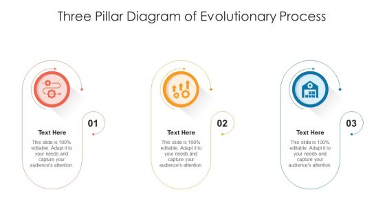 Three Pillar Diagram Of Evolutionary Process Ppt PowerPoint Presentation Outline Summary PDF Three Pillar Diagram Of Evolutionary Process Ppt PowerPoint Presentation Outline Summary PDF