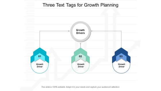 Three Text Tags For Growth Planning Ppt Powerpoint Presentation Styles Show Three Text Tags For Growth Planning Ppt Powerpoint Presentation Styles Show