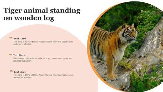 Tiger Animal Standing On Wooden Log Diagrams PDF Tiger Animal Standing On Wooden Log Diagrams PDF