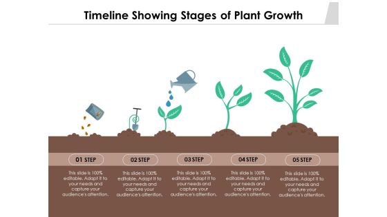 Timeline Showing Stages Of Plant Growth Ppt PowerPoint Presentation Visual Aids Gallery PDF