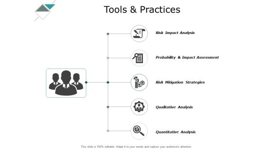 Tools And Practices Mitigation Strategies Ppt PowerPoint Presentation Professional Mockup