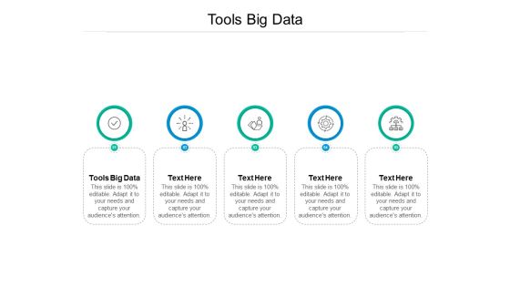 Tools Big Data Ppt PowerPoint Presentation Model Pictures Cpb