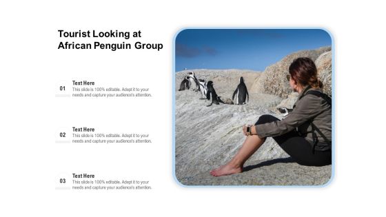 Tourist Looking At African Penguin Group Ppt PowerPoint Presentation Gallery Example Introduction PDF Tourist Looking At African Penguin Group Ppt PowerPoint Presentation Gallery Example Introduction PDF