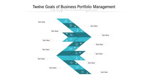 Twelve Goals Of Business Portfolio Management Ppt PowerPoint Presentation Gallery Show PDF