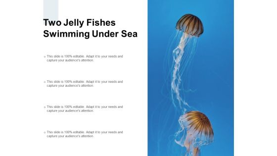 Two Jelly Fishes Swimming Under Sea Ppt PowerPoint Presentation Professional Portfolio Two Jelly Fishes Swimming Under Sea Ppt PowerPoint Presentation Professional Portfolio