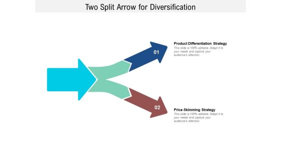 Two Split Arrow For Diversification Ppt PowerPoint Presentation Infographic Template Layouts