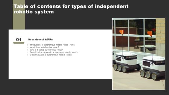 Types Of Independent Robotic System Table Of Contents Designs PDF