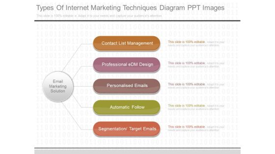 Types Of Internet Marketing Techniques Diagram Ppt Images