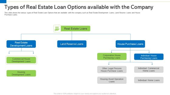 Types Of Real Estate Loan Options Available With The Company Graphics PDF Types Of Real Estate Loan Options Available With The Company Graphics PDF