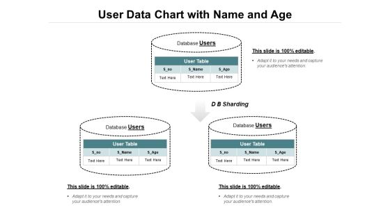 User Data Chart With Name And Age Ppt PowerPoint Presentation Summary Structure PDF User Data Chart With Name And Age Ppt PowerPoint Presentation Summary Structure PDF