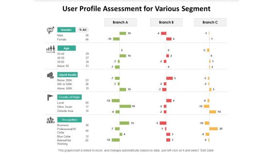 User Profile Assessment For Various Segment Ppt PowerPoint Presentation Icon Microsoft PDF