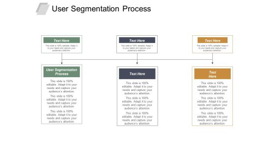 User Segmentation Process Ppt PowerPoint Presentation Outline Skills Cpb