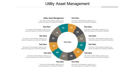 Utility Asset Management Ppt PowerPoint Presentation Pictures Diagrams Cpb