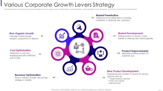 Various Corporate Growth Levers Strategy Designs PDF
