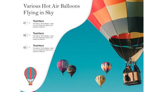 Various Hot Air Balloons Flying In Sky Ppt PowerPoint Presentation Model Microsoft PDF