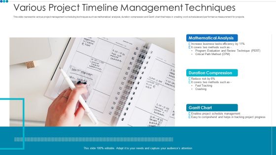 Various Project Timeline Management Techniques Professional PDF Various Project Timeline Management Techniques Professional PDF