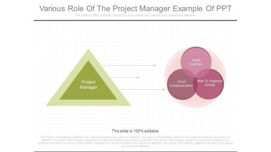 Various Role Of The Project Manager Example Of Ppt Various Role Of The Project Manager Example Of Ppt