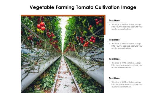 Vegetable Farming Tomato Cultivation Image Ppt PowerPoint Presentation Pictures Tips PDF Vegetable Farming Tomato Cultivation Image Ppt PowerPoint Presentation Pictures Tips PDF