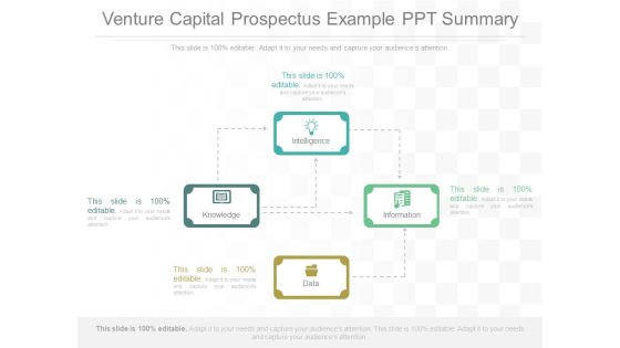 Venture Capital Prospectus Example Ppt Summary Venture Capital Prospectus Example Ppt Summary