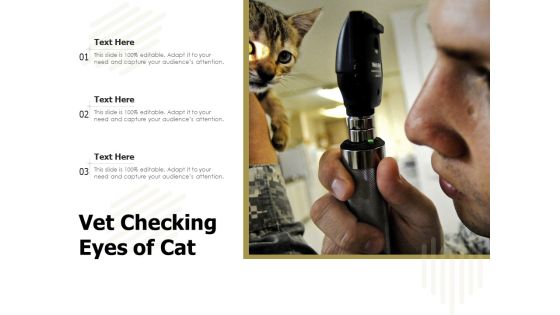 Vet Checking Eyes Of Cat Ppt PowerPoint Presentation File Inspiration PDF Vet Checking Eyes Of Cat Ppt PowerPoint Presentation File Inspiration PDF
