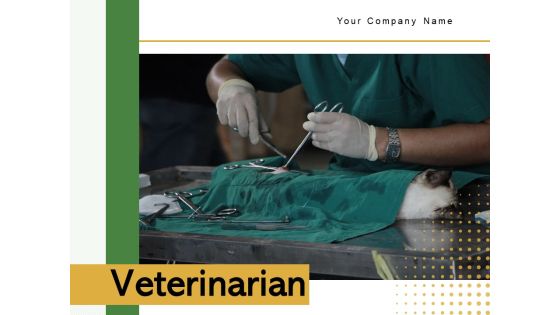 Veterinarian Doctor Examines Ppt PowerPoint Presentation Complete Deck Veterinarian Doctor Examines Ppt PowerPoint Presentation Complete Deck