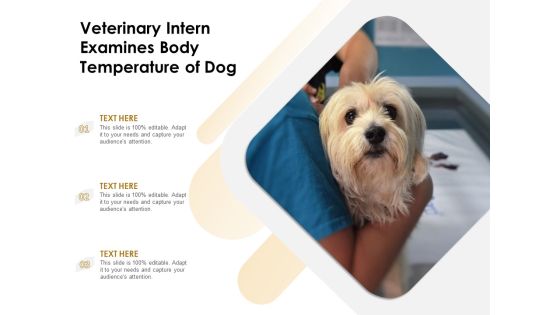 Veterinary Intern Examines Body Temperature Of Dog Ppt PowerPoint Presentation Inspiration Pictures PDF Veterinary Intern Examines Body Temperature Of Dog Ppt PowerPoint Presentation Inspiration Pictures PDF