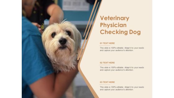 Veterinary Physician Checking Dog Ppt PowerPoint Presentation Ideas Graphics PDF