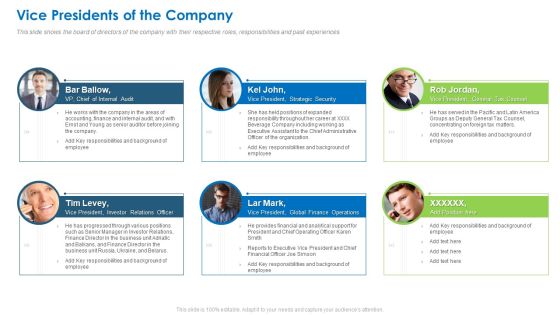 Vice Presidents Of The Company Guidelines PDF