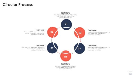 Virtual Video Hosting Platform Capital Raising Circular Process Mockup PDF