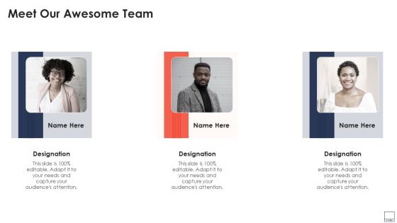 Virtual Video Hosting Platform Capital Raising Meet Our Awesome Team Slides PDF Virtual Video Hosting Platform Capital Raising Meet Our Awesome Team Slides PDF