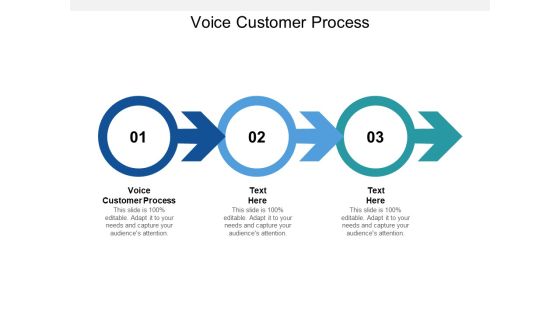 Voice Customer Process Ppt PowerPoint Presentation Icon Graphics Tutorials Cpb Voice Customer Process Ppt PowerPoint Presentation Icon Graphics Tutorials Cpb