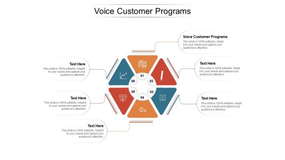 Voice Customer Programs Ppt PowerPoint Presentation Show Microsoft Cpb Pdf Voice Customer Programs Ppt PowerPoint Presentation Show Microsoft Cpb Pdf