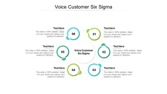 Voice Customer Six Sigma Ppt PowerPoint Presentation Portfolio Background Images Cpb