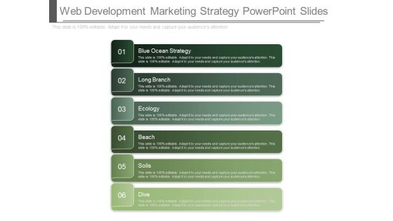 Web Development Marketing Strategy Powerpoint Slides