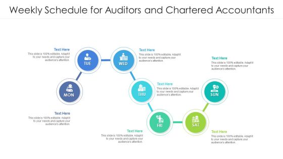 Weekly Schedule For Auditors And Chartered Accountants Ppt PowerPoint Presentation Icon Layout Ideas PDF