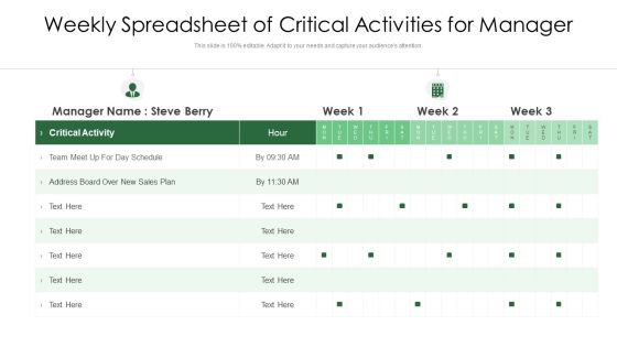 Weekly Spreadsheet Of Critical Activities For Manager Ppt PowerPoint Presentation File Show PDF