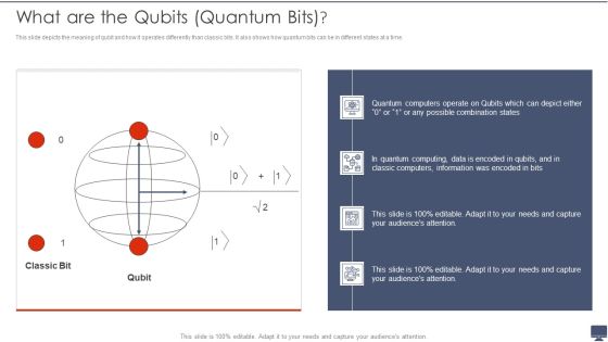 What Are The Qubits Quantum Bits Ppt Gallery Template PDF What Are The Qubits Quantum Bits Ppt Gallery Template PDF