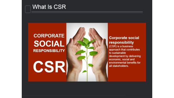 What Is Csr Ppt PowerPoint Presentation Gallery What Is Csr Ppt PowerPoint Presentation Gallery