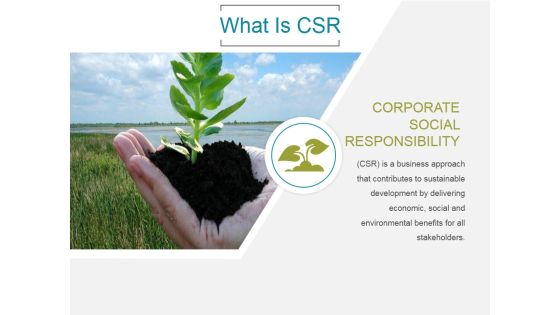 What Is Csr Ppt PowerPoint Presentation Pictures What Is Csr Ppt PowerPoint Presentation Pictures