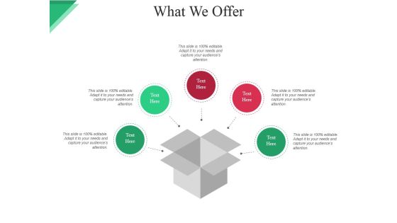 What We Offer Ppt PowerPoint Presentation Slides Template